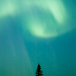 Cupped Hands: Cupped northern lights.