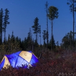 Tent at night in the woods:  