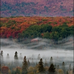 Foggy Valley: The fog covers part of the valley below Oberg Mountain in the fall. Lutsen, Minnesota.