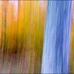 Impresionistic Fall: Fall colors blurred by a long exposure.