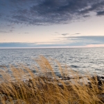 hansel_bryan_111116-10:  