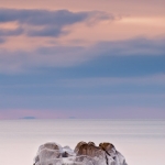 hansel_bryan_120116-11:  