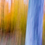 Impresionistic Fall: Fall colors blured by a long exposure.