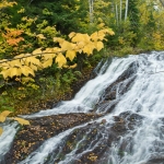 Onion River Fall Colors: Fall colors on the Onion River.