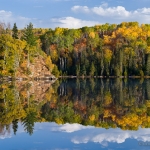 Mink Lake Fall Reflections: Fall color reflection on Mink Lake near the Gunflint Trail, Minnesota.