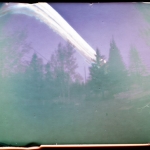 hansel_bryan_backyard:  