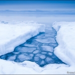 Ice Trapping Ice: Recently, a southerly snow and wind storm pushed lots of pack ice to our shores. At Paradise Beach, which is northeast of Grand Marais, the pack ice froze fast to the shore. At places the thick ice extends out over 50 yards. I found this great ice gully capturing sheet ice broken up by a slight Lake Superior swell.

Image#110131-4