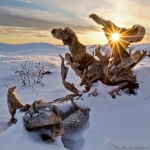 Winter snag: The sun bursts through a hole in the roots of a piece of driftwood on Lake Superior. Near Durfee Creek, Minnesota.

#110209-38-blended

2011 © Bryan Hansel, All Rights Reserved