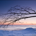 Downed Tree: A blowdown tree hands over a ice-covered Lake Superior beach. The passage of time smooths out the lake waves. At "121" in Minnesota.

2011 © Bryan Hansel, All Rights Reserved, 110210-123