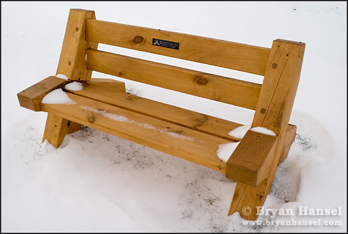 Winter Bench