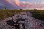 hansel_bryan_090827-210