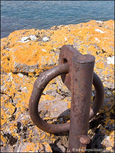 Sugarloaf cove anchor ring