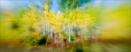 090923-40 Fall color Lensbaby pano
