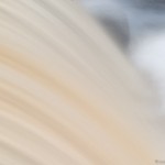 Long exposure with blurred water.