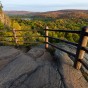 Fall color on Oberg