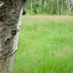 Permalink to Photographing the Wind Near Grand Marais, Minnesota The Neverending Wind