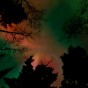 Minnesota northern lights