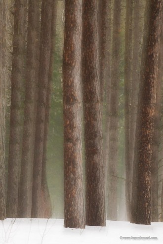 Grand Marais winter photography workshop takes dreamy photos.