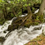 Shore shore of Lake Superior waterfall