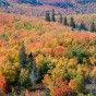 hansel_bryan_110928-316 Fall color near Lutsen