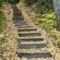 hansel_bryan_111005-82 Fall color on wooden steps