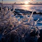 hansel_bryan_111209-61 Ice coated branches on Lake Superior.