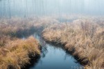 Landscapes