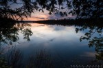 sunset through cedar on Cascade Lake, Cook County, MN