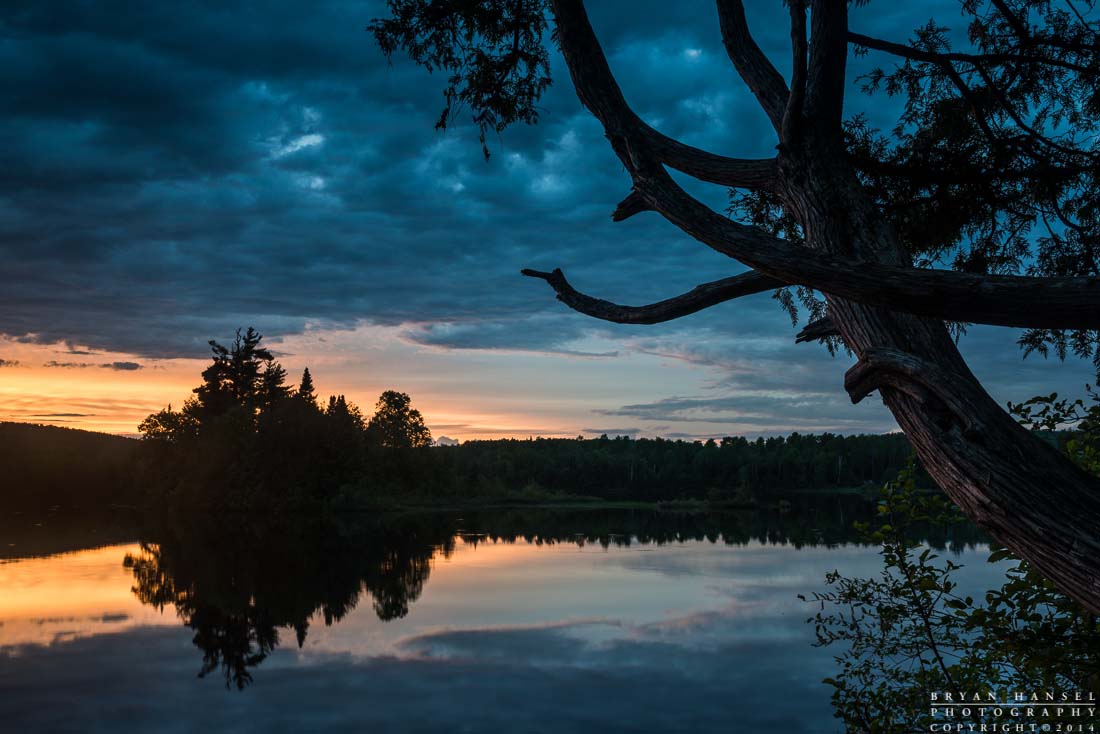 old cedar and island on Two Island Lake