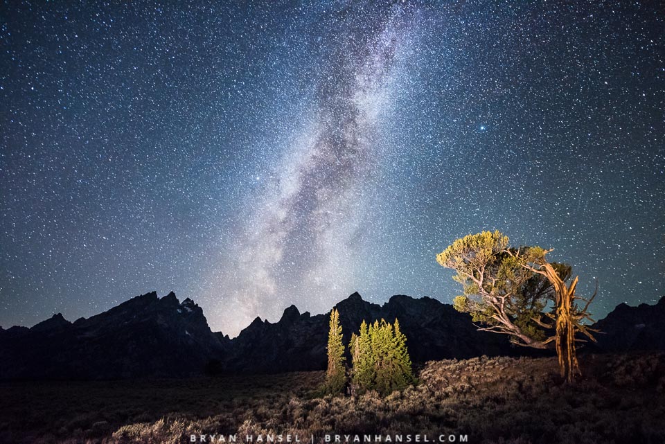 Grand Teton The Old Patriarch Tree under Milky Way
