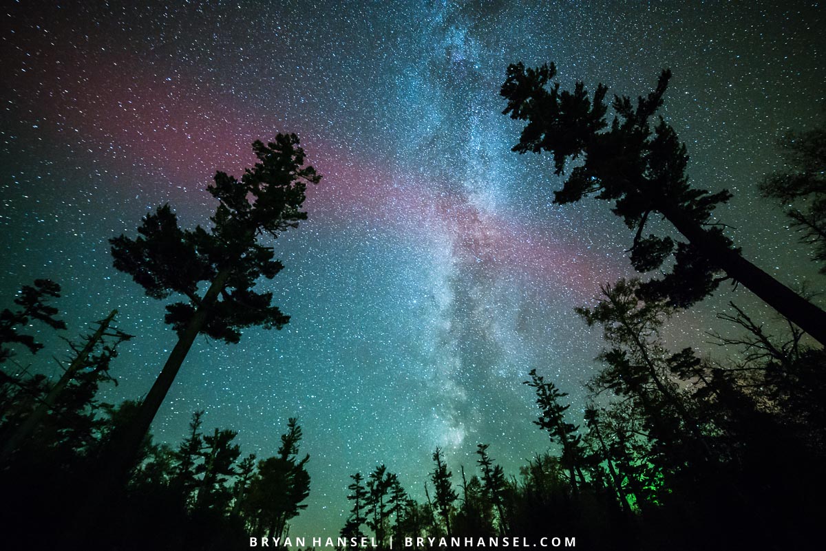 White Pine, Milky Way and Northern Lights
