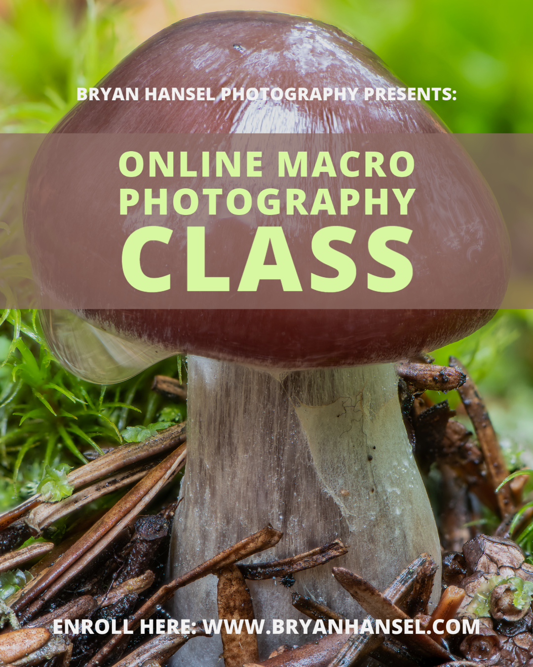 Online Macro Photography Class showing logo under label