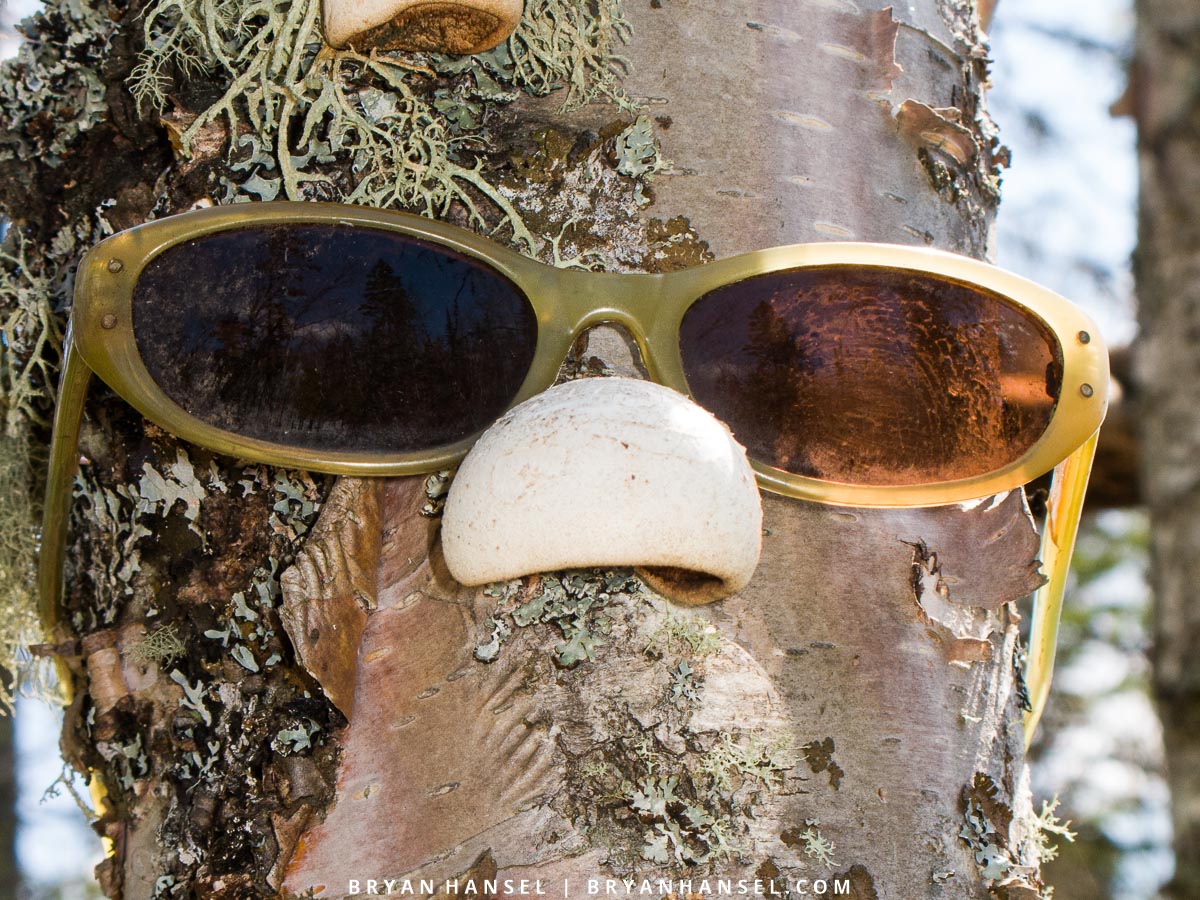 glasses on a tree