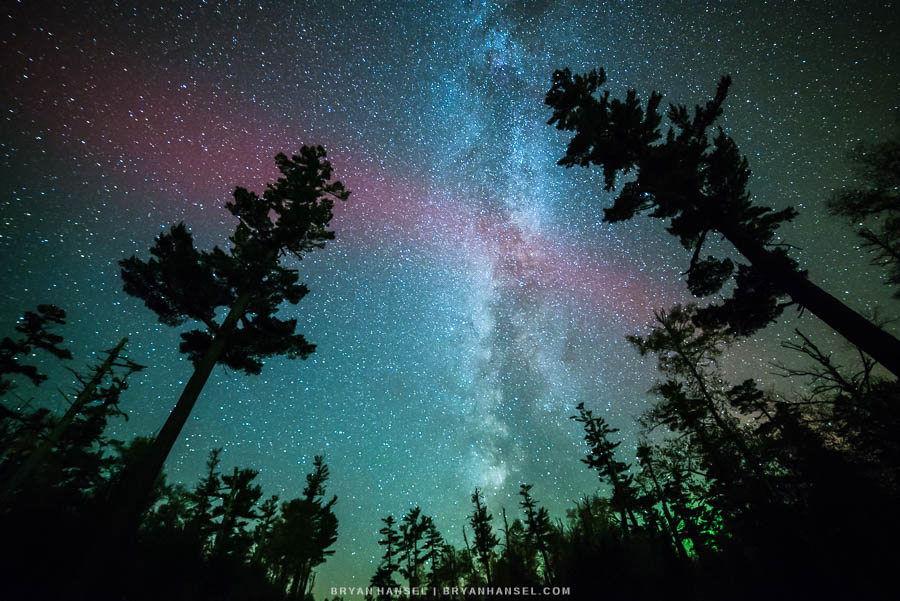 A band of white northern lights passes sourth of old growth white pines. The Milky Way lights the sky.